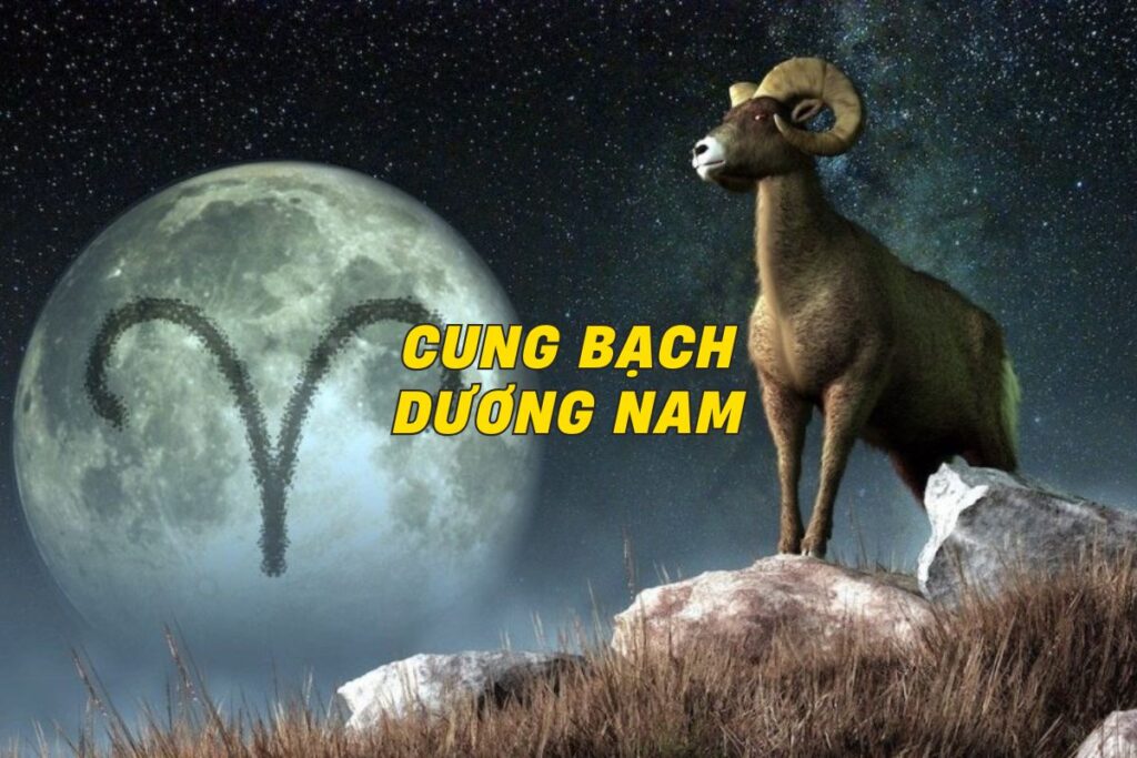 cung-bach-duong-nam 0