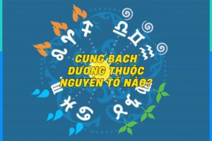 cung-bach-duong-thuoc-nguyen-to-nao 0